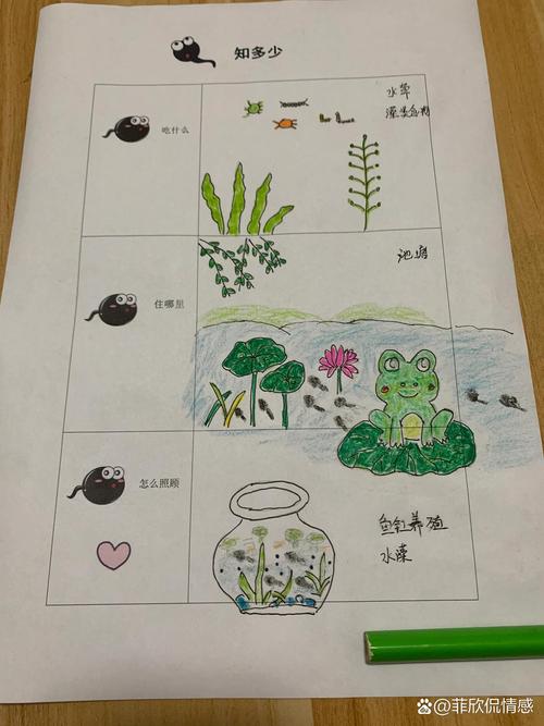 为何小蝌蚪视频在线观看成为热门?家长必知的8大教育价值解析 为何小蝌蚪视频在线观看成为热门?家长必知的8大教育价值解析