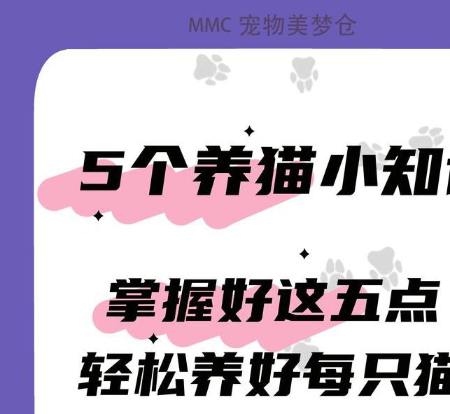 2025最新科学养猫指南:不可错过的10大知识点+20个实用技巧(附权威数据) 2025最新科学养猫指南:不可错过的10大知识点+20个实用技巧(附权威数据)