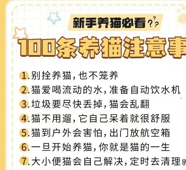 2025最新科学养猫指南:不可错过的10大知识点+20个实用技巧(附权威数据) 2025最新科学养猫指南:不可错过的10大知识点+20个实用技巧(附权威数据)