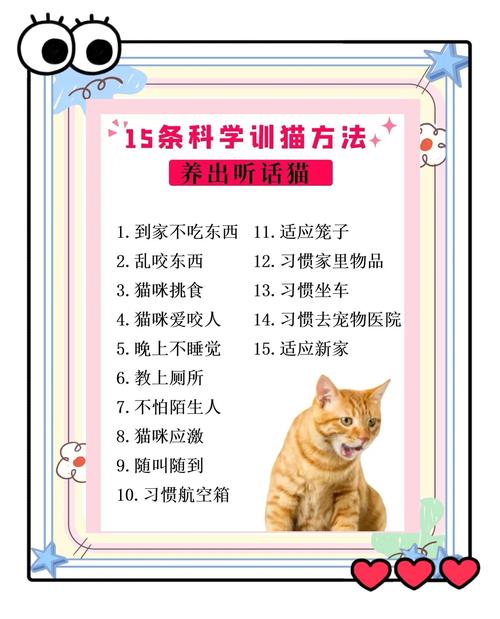 2025最新科学养猫指南:不可错过的10大知识点+20个实用技巧(附权威数据) 2025最新科学养猫指南:不可错过的10大知识点+20个实用技巧(附权威数据)