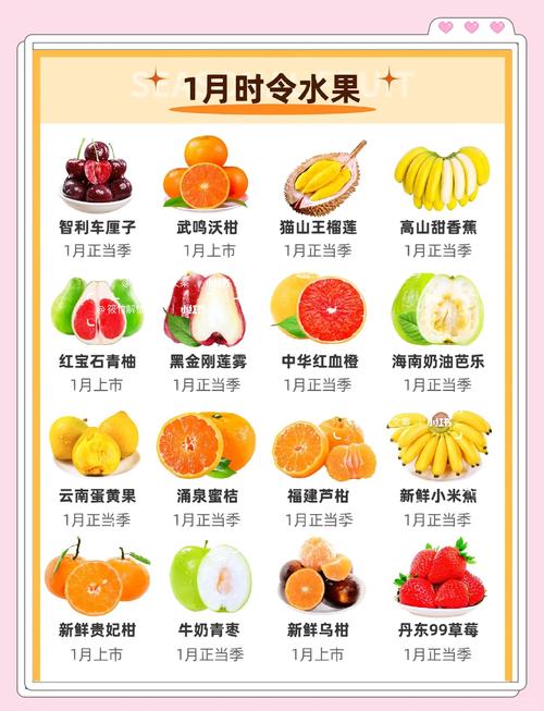 果蔬视频APP对比:黄瓜香蕉丝瓜榴莲番茄免费版 VS 付费会员,哪种更值得选? 果蔬视频APP对比:黄瓜香蕉丝瓜榴莲番茄免费版 VS 付费会员,哪种更值得选?