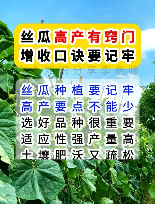 5大高产技巧+3种常见问题解析,绿巨人丝瓜秋葵葫芦瓜家庭种植全攻略 5大高产技巧+3种常见问题解析,绿巨人丝瓜秋葵葫芦瓜家庭种植全攻略
