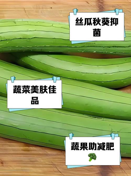 5大高产技巧+3种常见问题解析,绿巨人丝瓜秋葵葫芦瓜家庭种植全攻略 5大高产技巧+3种常见问题解析,绿巨人丝瓜秋葵葫芦瓜家庭种植全攻略