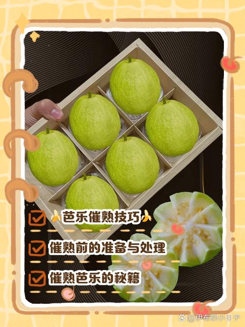 为何xfb88.xyf芭乐app备受关注?这3大核心功能能否解决你的需求? 为何xfb88.xyf芭乐app备受关注?这3大核心功能能否解决你的需求?