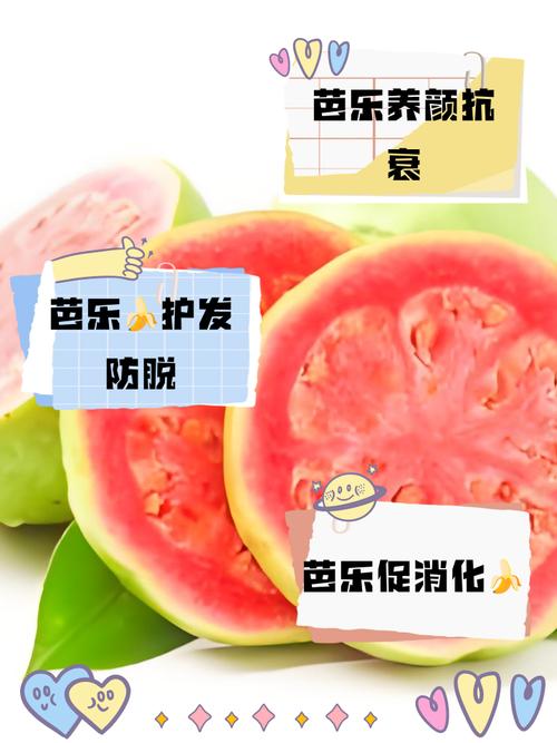 为何xfb88.xyf芭乐app备受关注?这3大核心功能能否解决你的需求? 为何xfb88.xyf芭乐app备受关注?这3大核心功能能否解决你的需求?