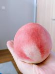 水蜜桃带你另眼看世界最新版