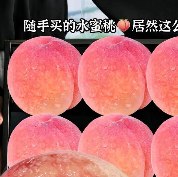 水蜜桃带你另眼看世界最新版