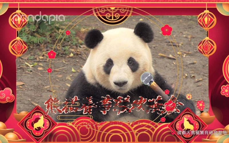 熊猫影视2021