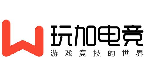 玩加电竞官网版