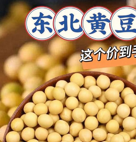 黄豆视频 黄豆精品 黄豆库
