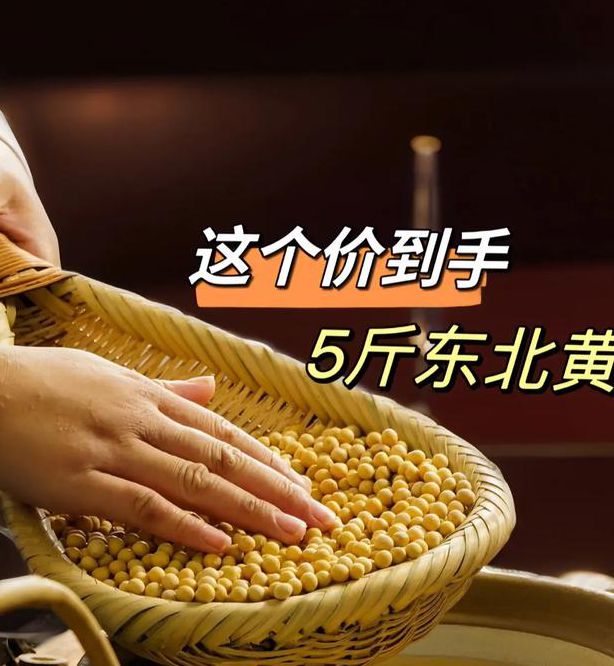 黄豆视频 黄豆精品 黄豆库