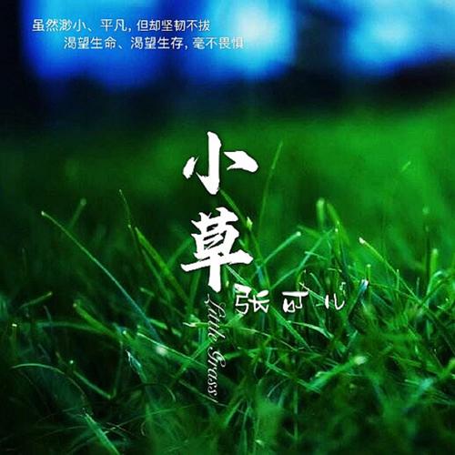 小草在线观看在线播放
