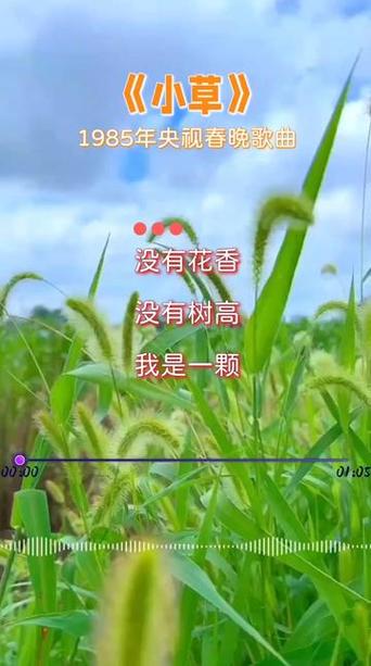 小草在线观看在线播放