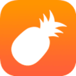 大菠萝福建导航短视频app