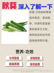 秋葵男人的...女人的美容院