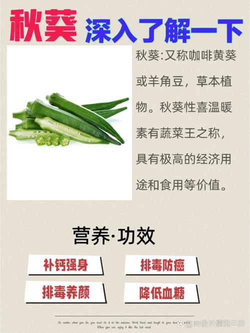 秋葵男人的...女人的美容院