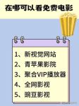 未来影院6080新视觉手机版