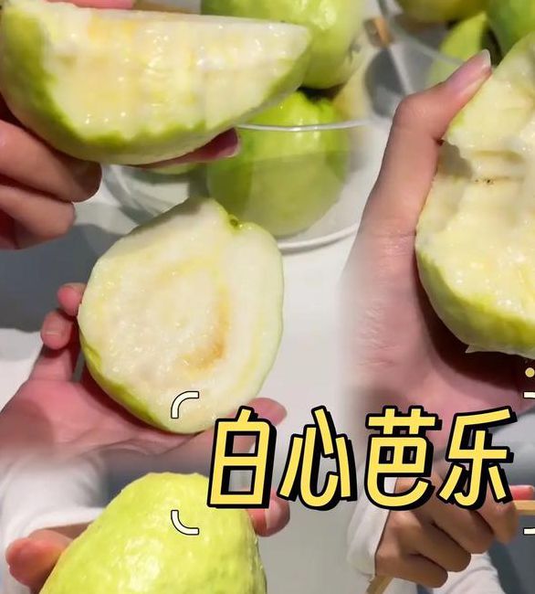 芭乐官方网站