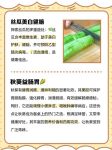 秋葵榴莲丝瓜向日葵绿巨人无限制