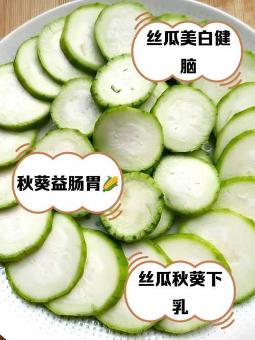 秋葵榴莲丝瓜向日葵绿巨人无限制