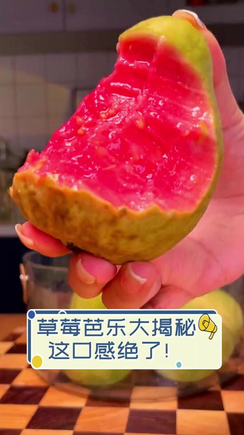 草莓芭乐樱桃丝瓜绿巨人石榴