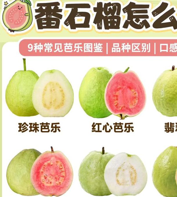 草莓芭乐樱桃丝瓜绿巨人石榴