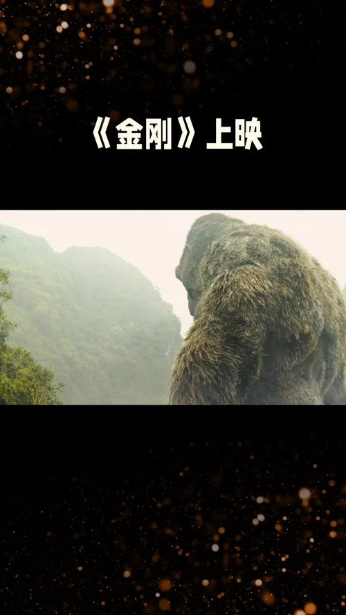 金刚影视1.0.0