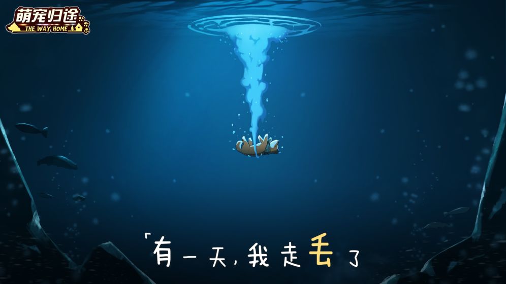萌宠归途